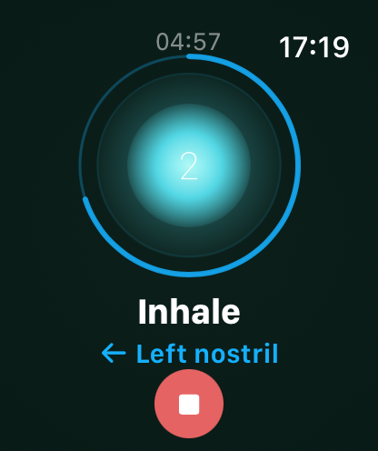 Inner Tempo on Apple Watch mid session, showing the breathing orb, the Inhale label, and a stop button